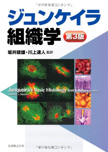 ジュンケイラ組織学 ジュンケイラ組織学 第3版 | 坂井 建雄, 川上 速人 |本 | 通販